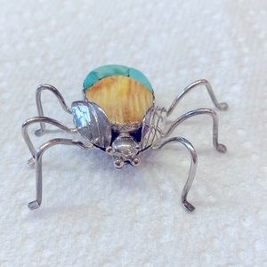Southwestern Bug Pin